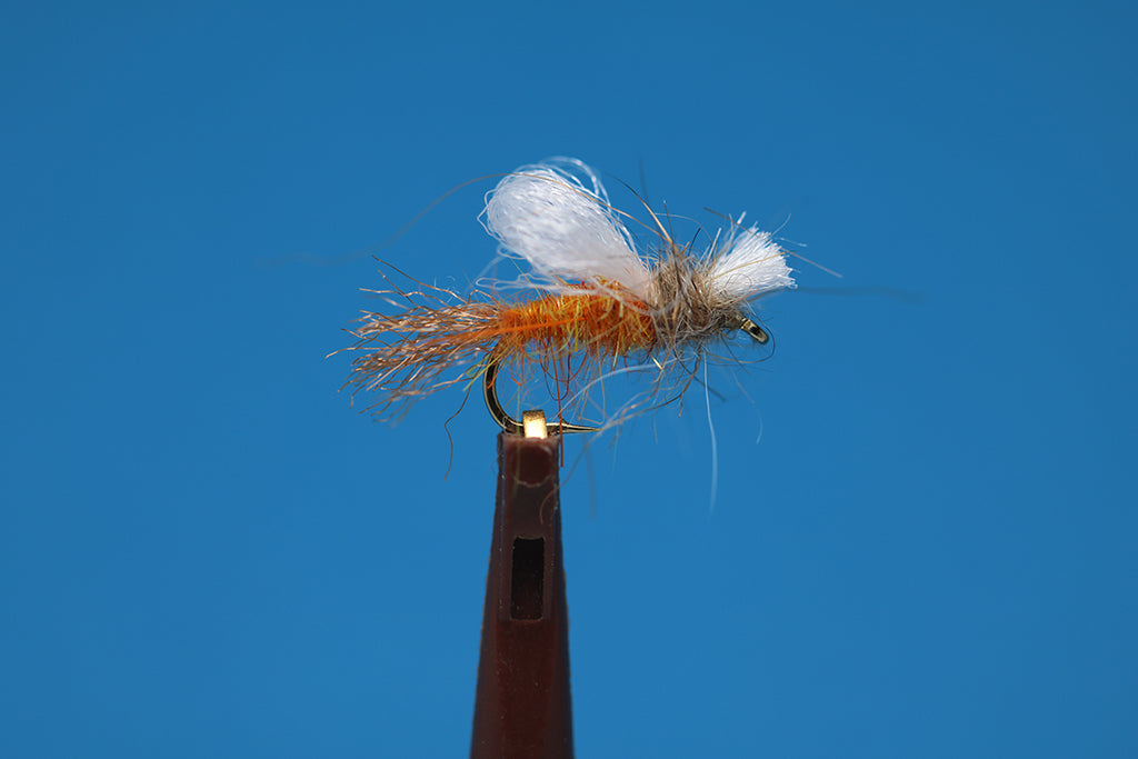 BRF Iris Caddis
