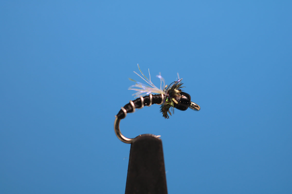 Black Headed Zebra Midge