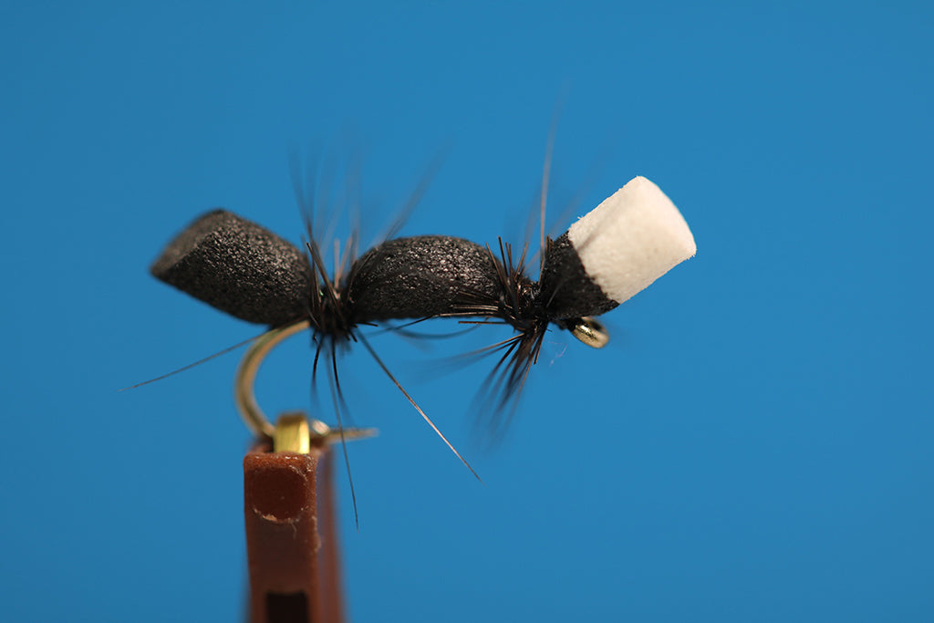 Black Foam Ant