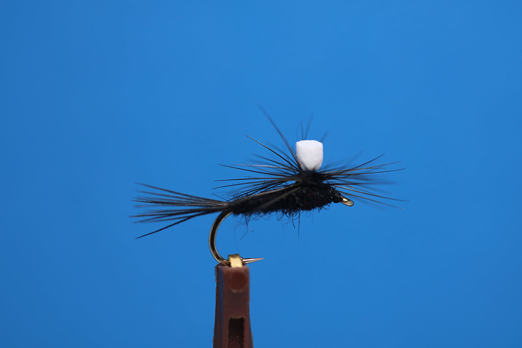 Black Parachute Gnat