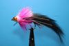 Black Zirdle Bug With Pink Tutu