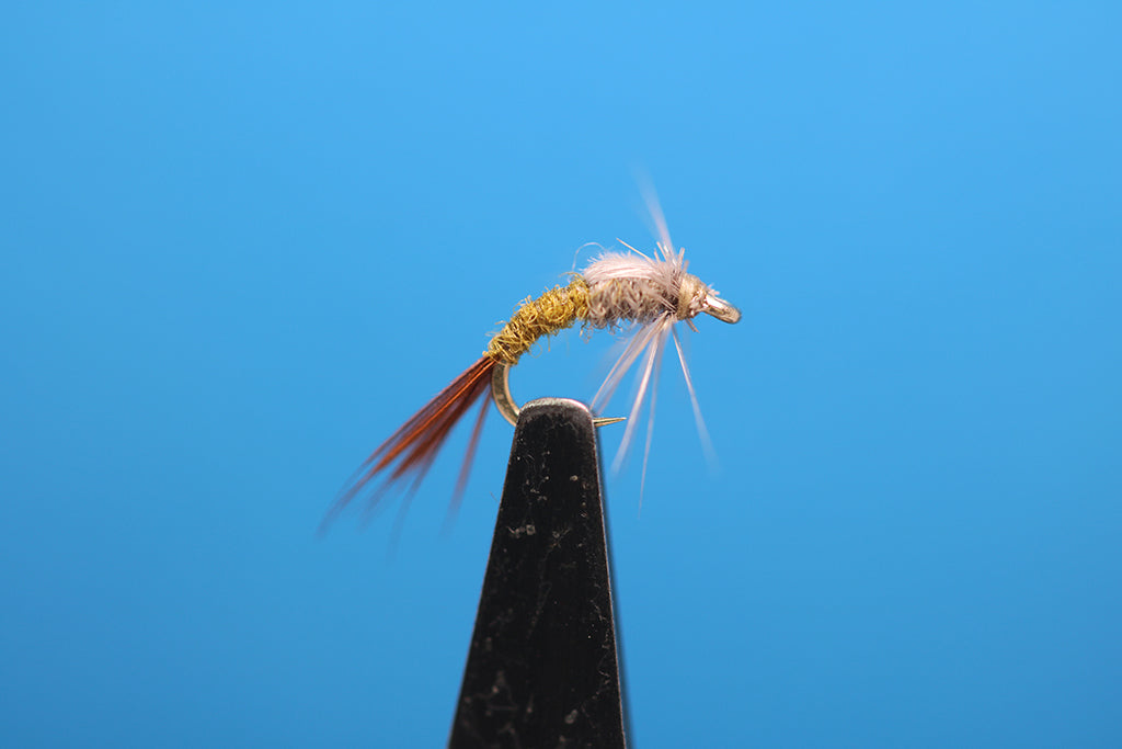 CDC Case BWO Emerger