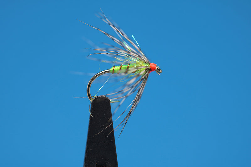 Chartreuse And Partridge Soft Hackle