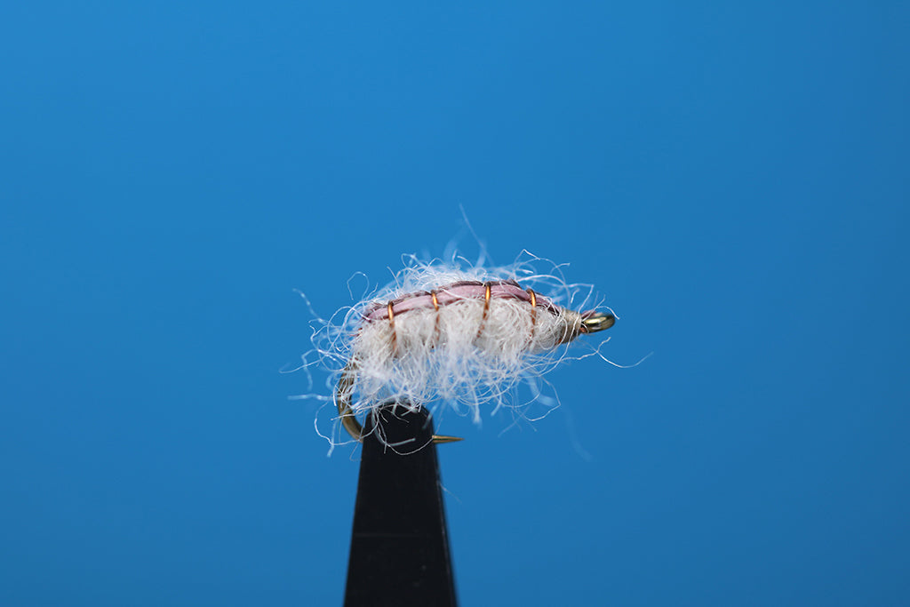 Flash Back Cream Sow Bug