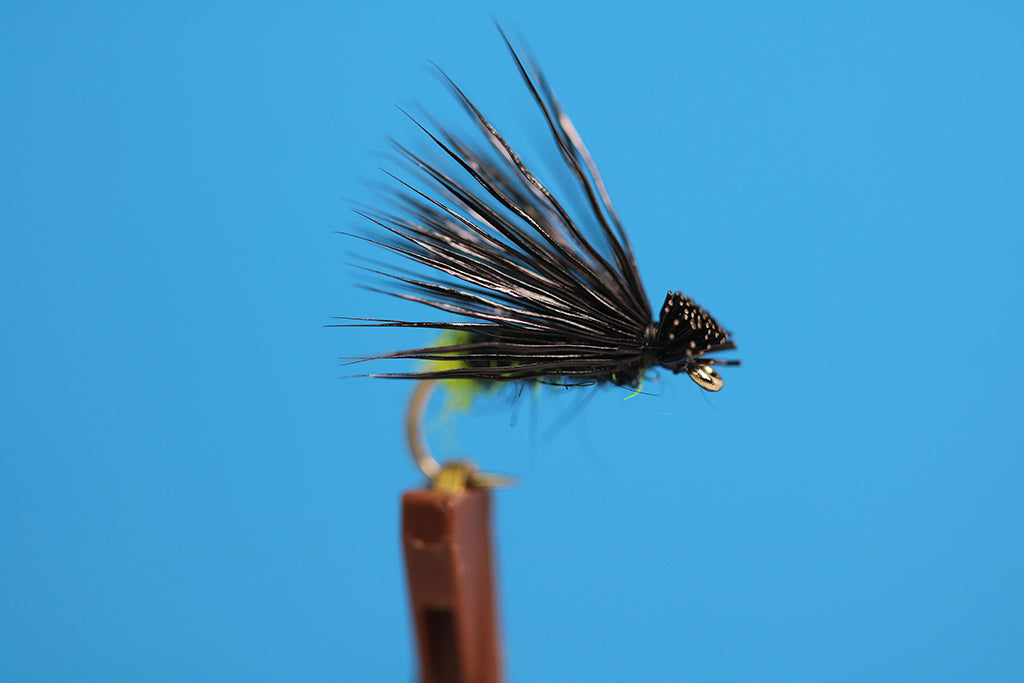 Green Butt Black Caddis