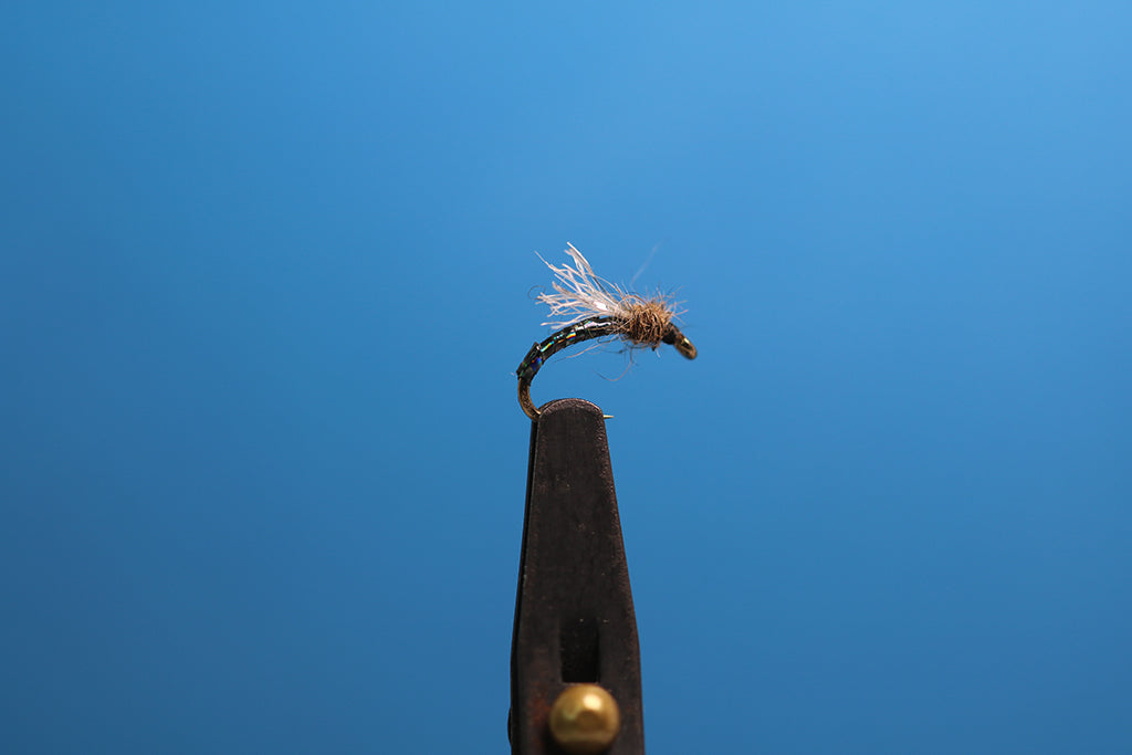 Holographic Emergent Midge