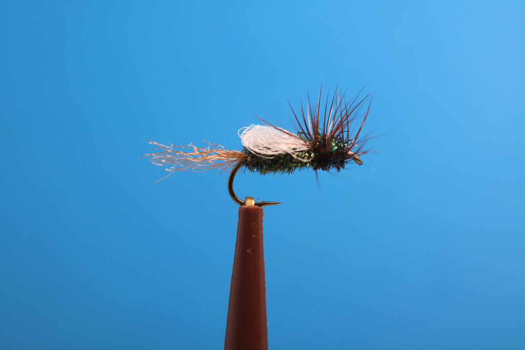 Iris Mother's Day Caddis w/ Brown Hackle