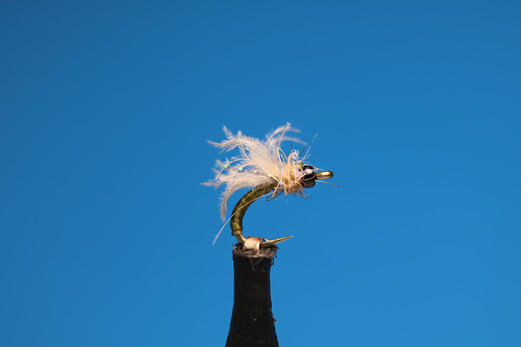 Olive Serendipity CDC Emerger