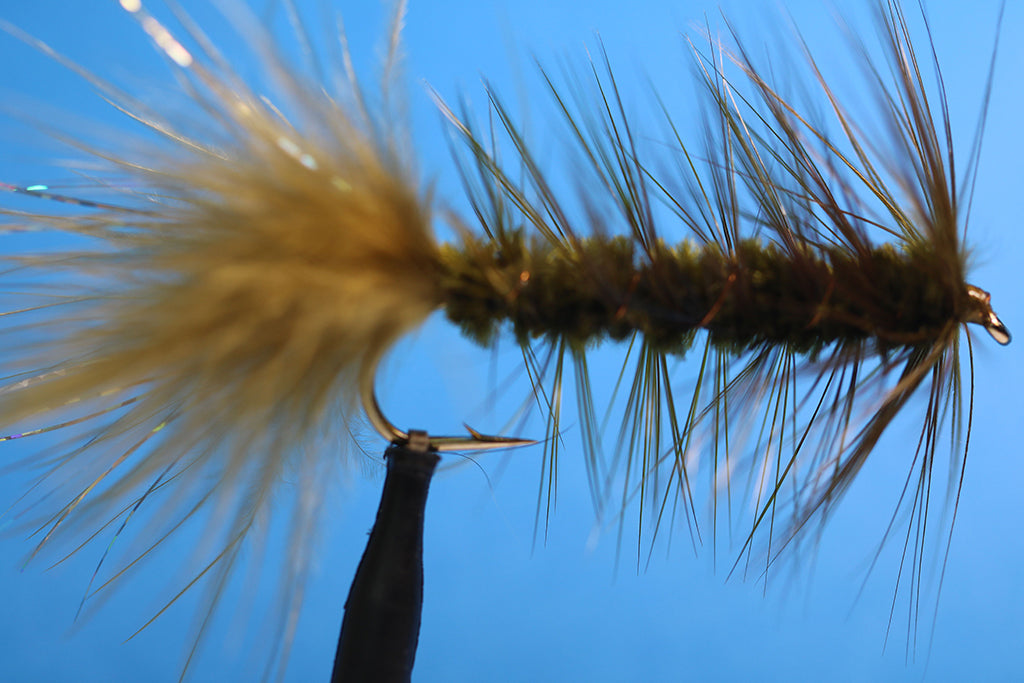 Olive Woolly Bugger with Flash