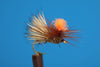 Parachute Spruce Moth