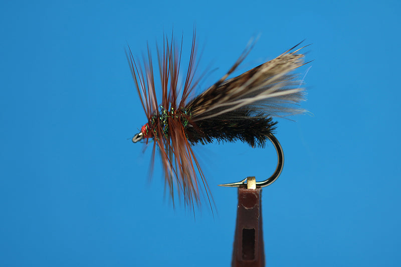 Partridge Peacock Caddis