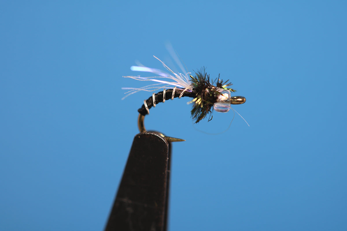 Pearl Headed Zebra Midge
