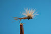 Pheasant Tail Hay Stack, Dun Hackle