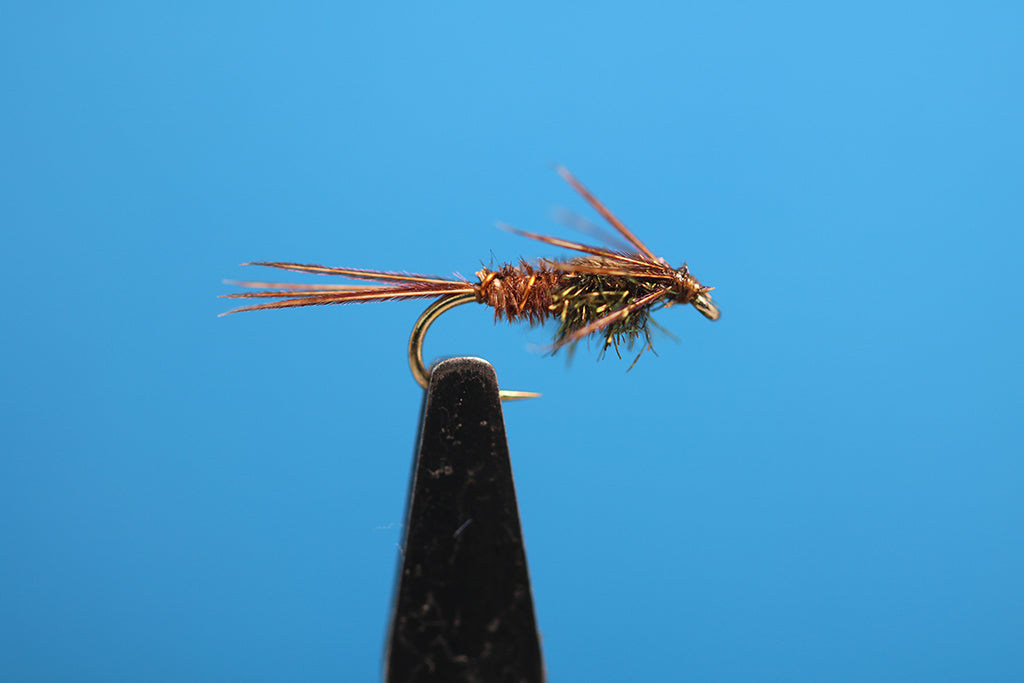Pheasant Tail Nymph