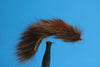 Pine Squirrel Leech, Brown