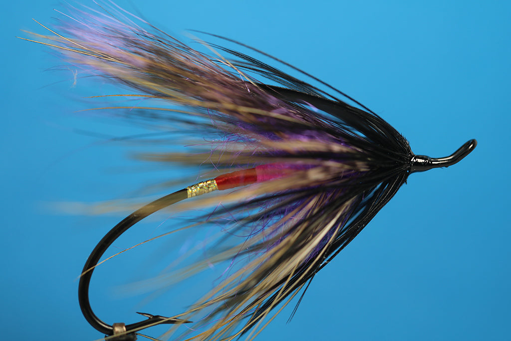 Purple Freight Train Spey