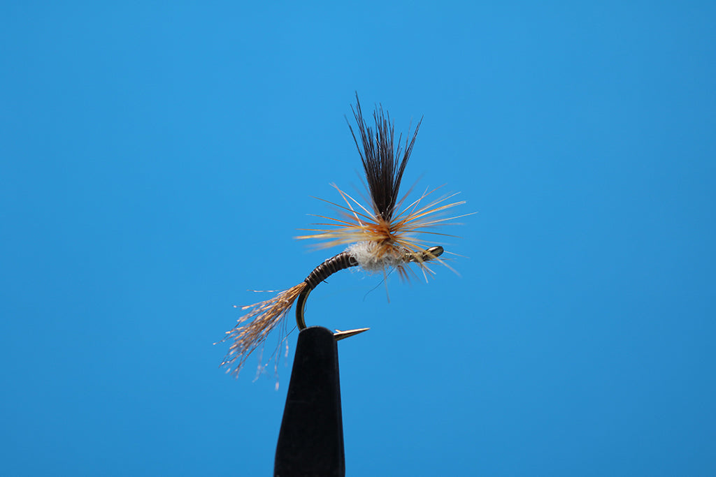 Quill Gordon Parachute Emerger