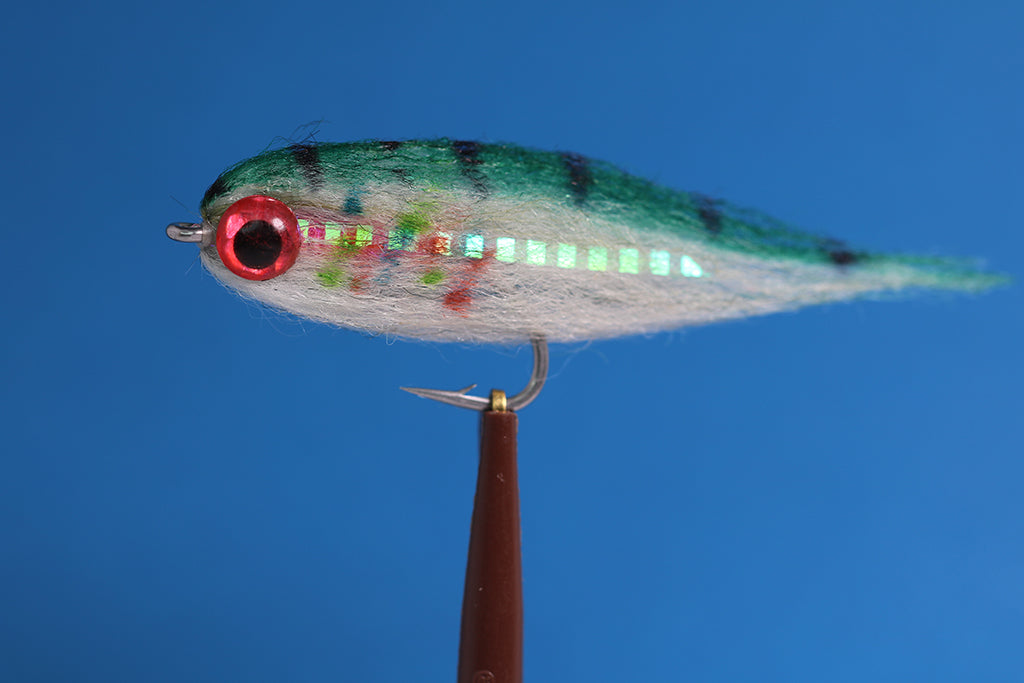 Rainbow Minnow with red eyes
