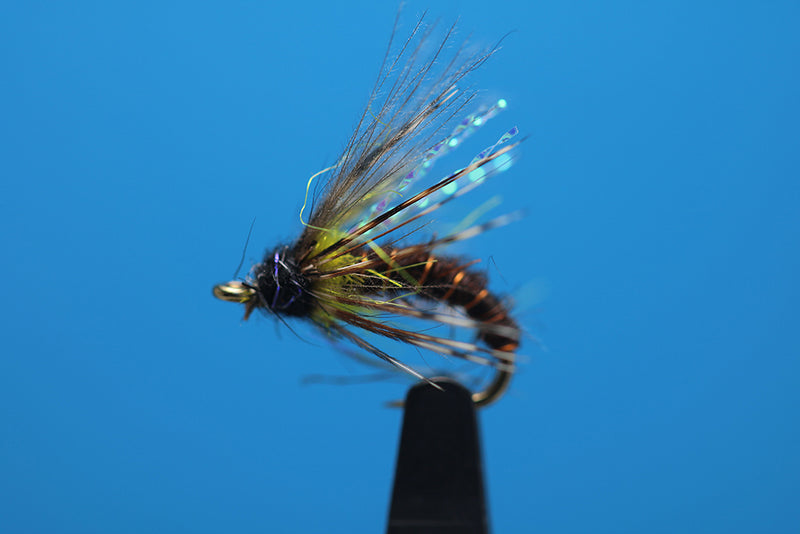 Rusty Peeking Caddis CDC Soft Hackle