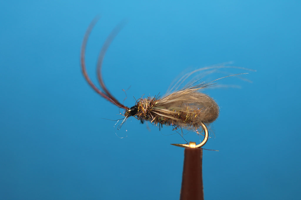 Tan CDC Bubble Sedge