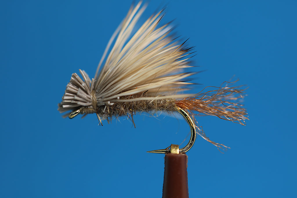 Tan X-Caddis
