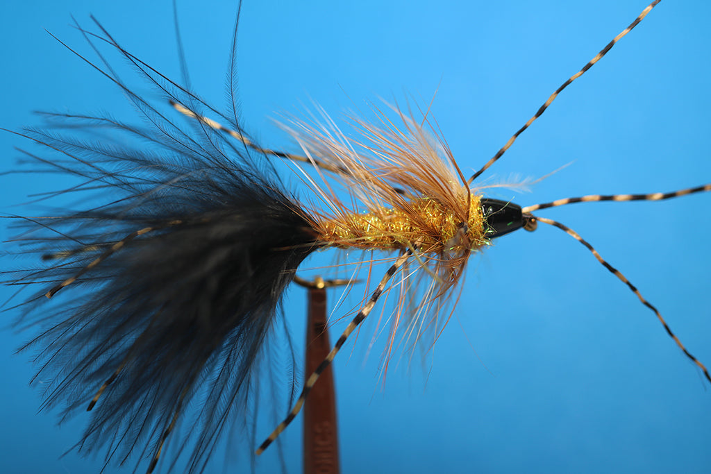 Trina's Bugger Amber