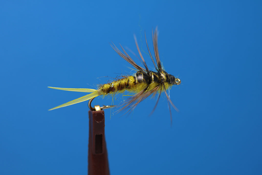 Yellow Sally Nymph