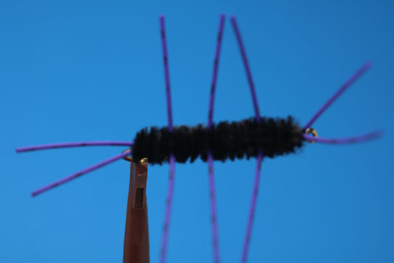 Black Girdle Bug With Purple Legs