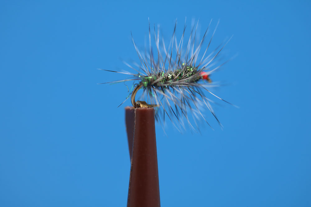 Griffith Gnat U.V. Peacock