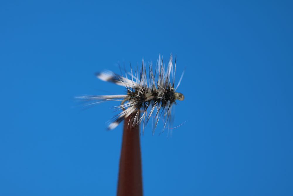 Big Horn Mating Midge