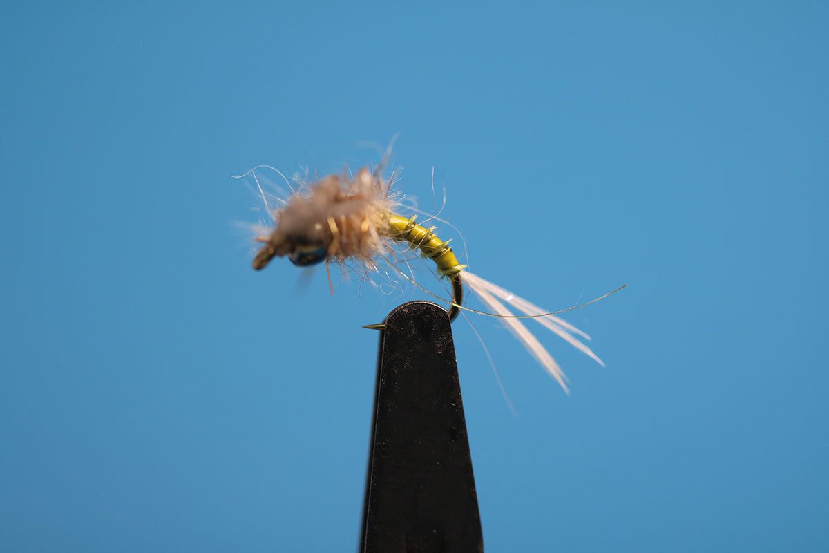 Olive Biot Batwing Emerger