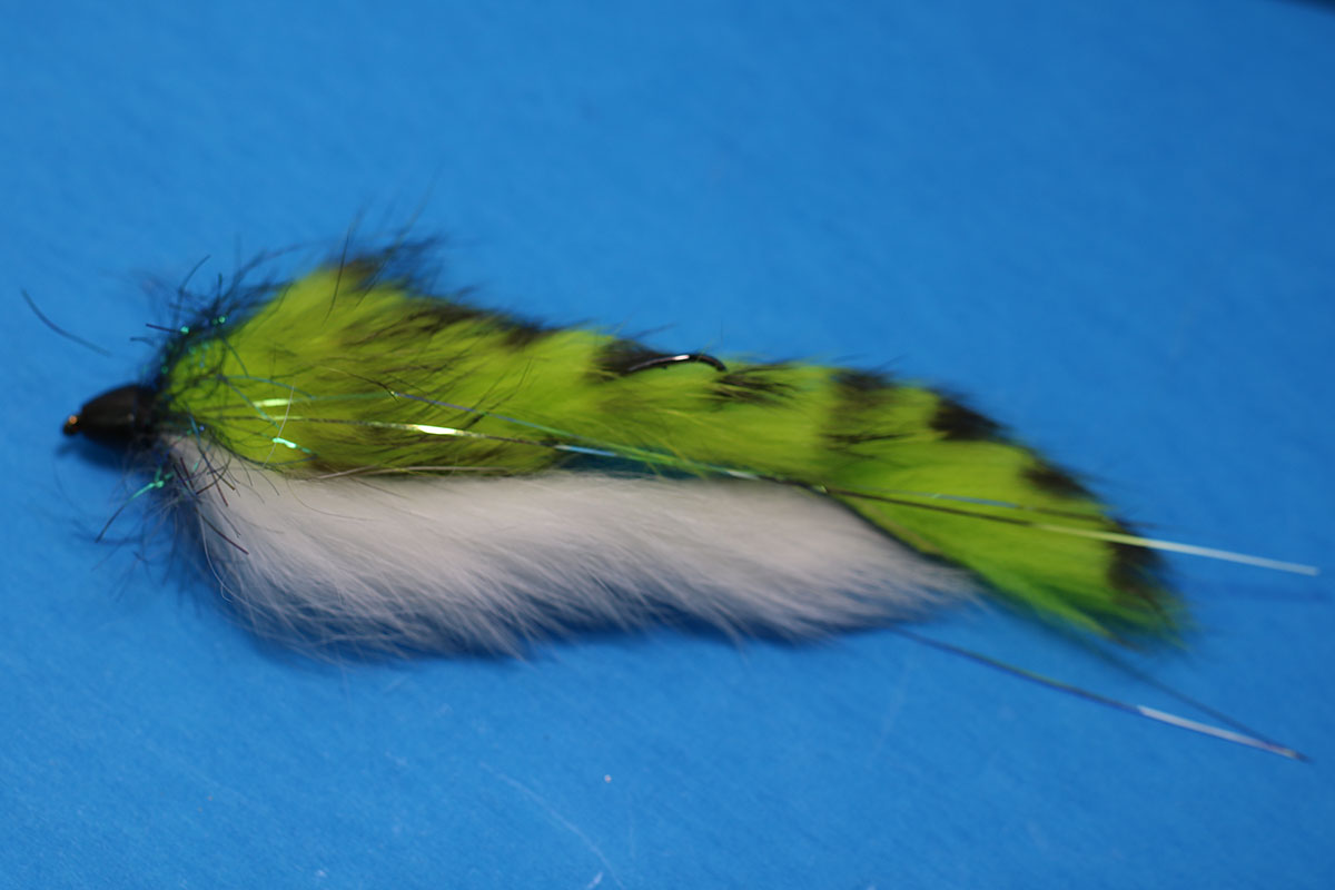 Dolly Llama, Chartreuse White with Black Cone