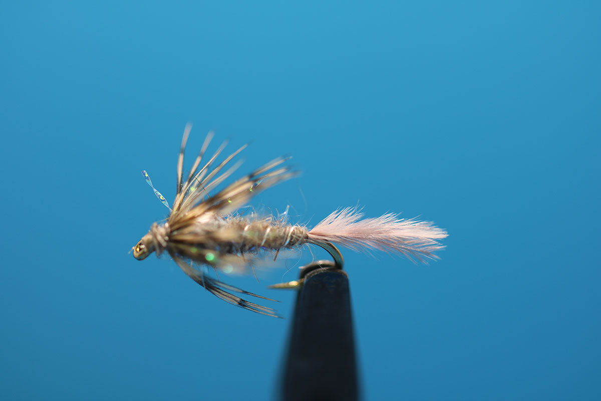 MTF Callibaetis Soft Hackle