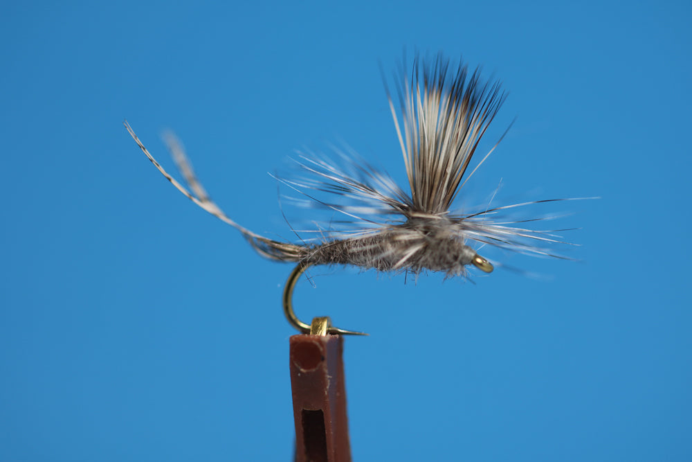 Callibaetis Parachute, Extended body