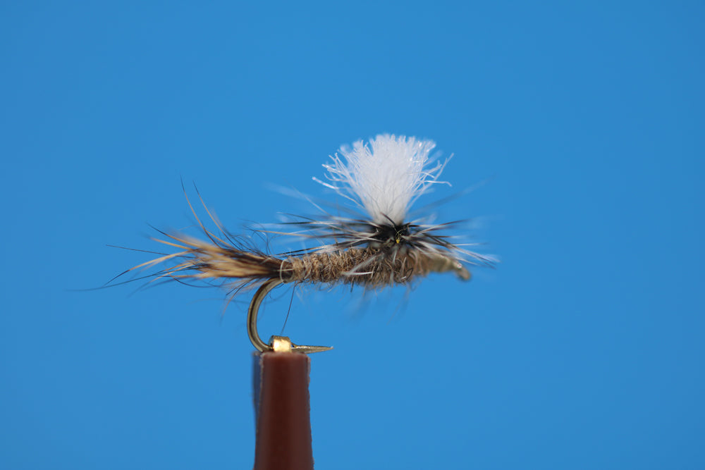 Parachute Hare's Ear