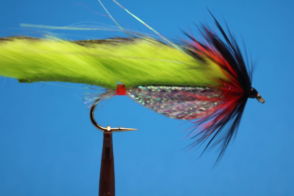 Chartreuse Zonker With Black Marker